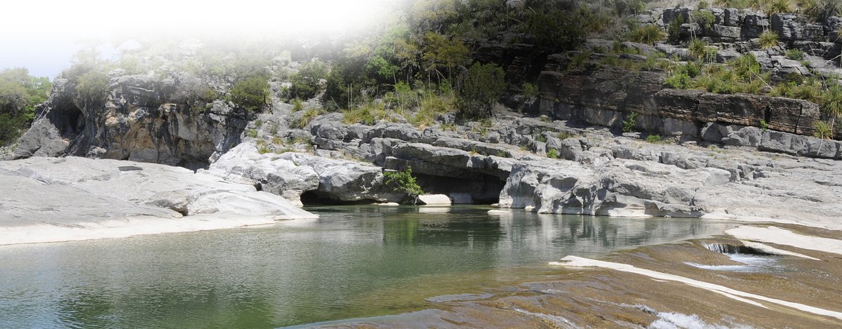 Dripping Springs RV Park (Dripping Springs, Texas) photo