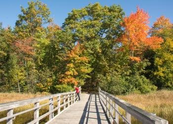 Kentuck Lake Campground