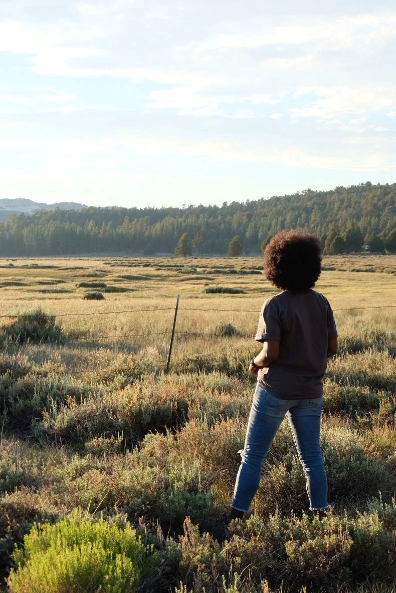 Holcomb Valley Ranch