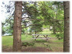 Fools Lake Campground