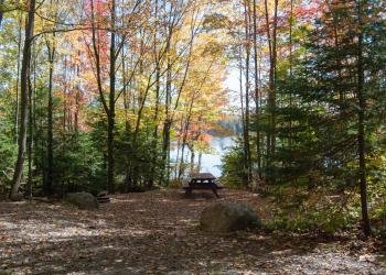 Himley Lake Campsites