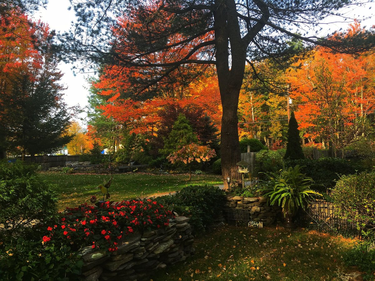 Three Pines Campground (Lakeville, Pennsylvania) photo
