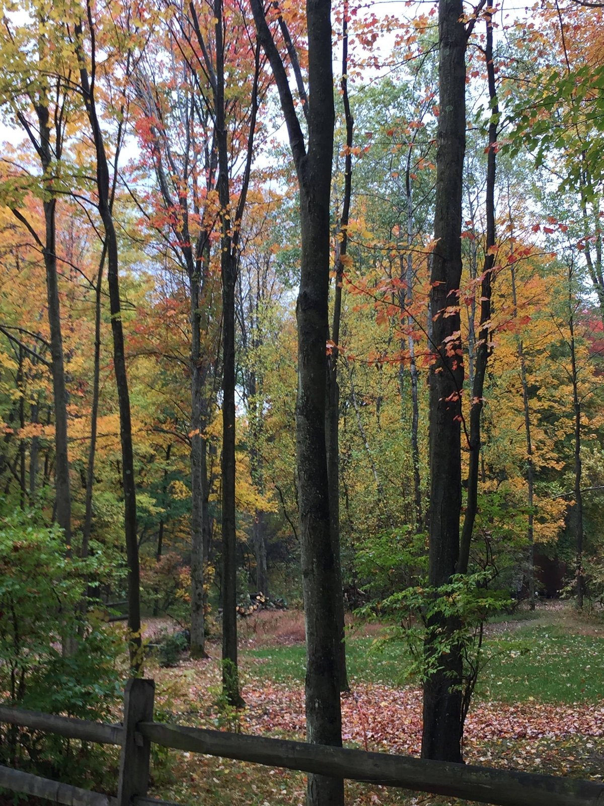 Three Pines Campground (Lakeville, Pennsylvania) photo