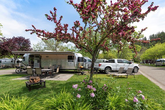 Benbow KOA Holiday (Garberville, California) photo