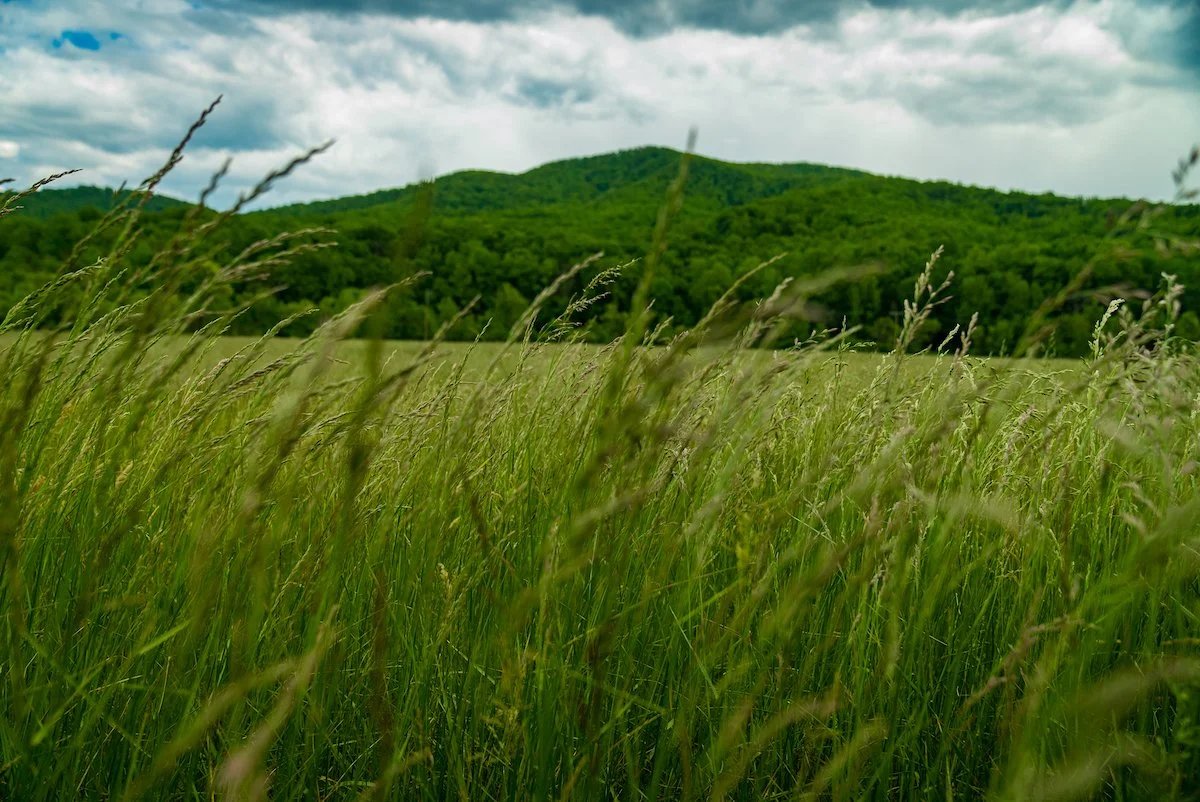 Devils Backbone Three Ridges Haven