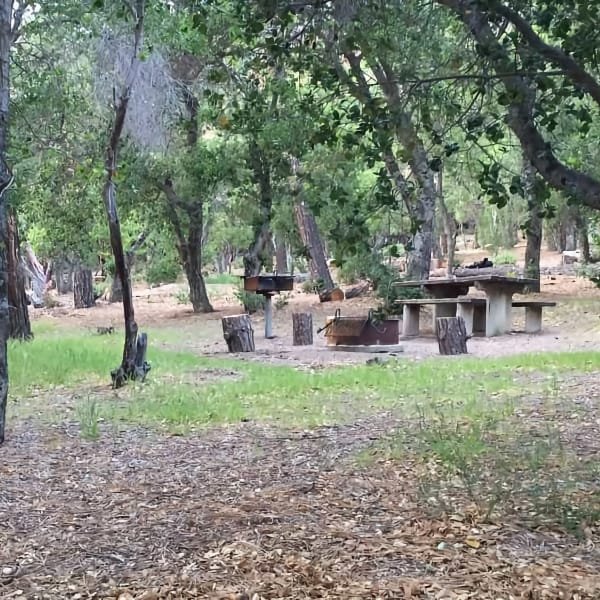 Figueroa Campground (Santa Ynez, California) photo