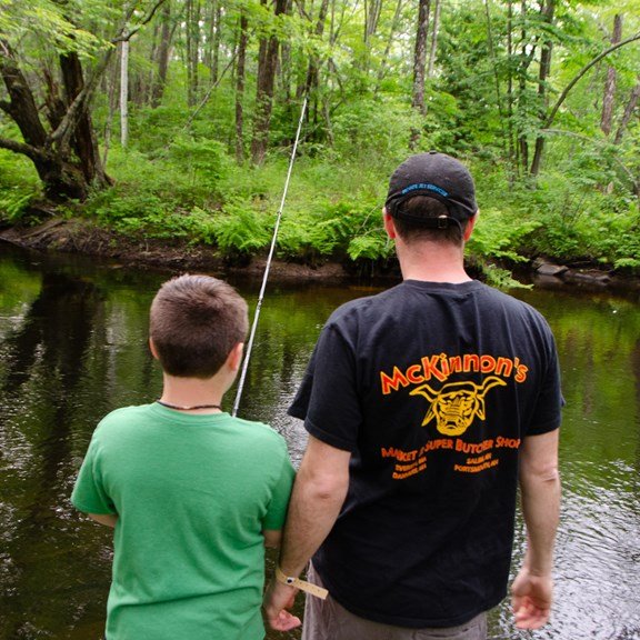 Lebanon KOA Holiday on Salmon Falls River Holiday