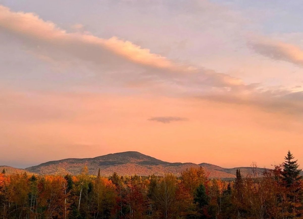 Crystal Brook Camping