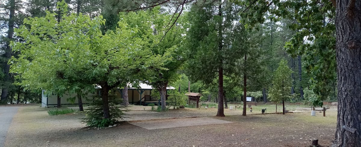 Forbestown Mobile Home and RV Park (Forbestown, California) photo