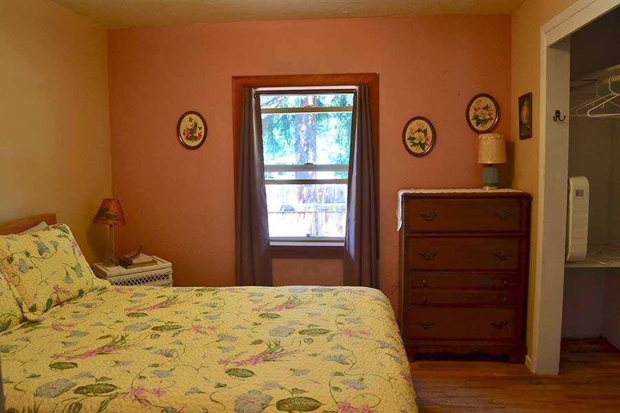 Pine Near RV Park & Campground