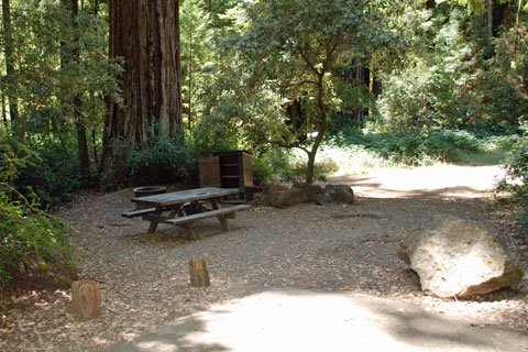 Huckleberry Campground