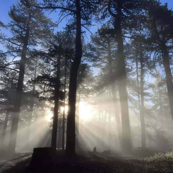 Navajo Flat Campground