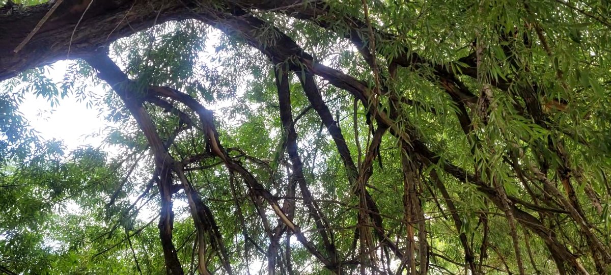 Little Deer Creek Campground