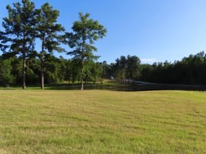 Magnolia Springs RV Park