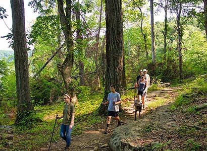 Paddle Trail Campground