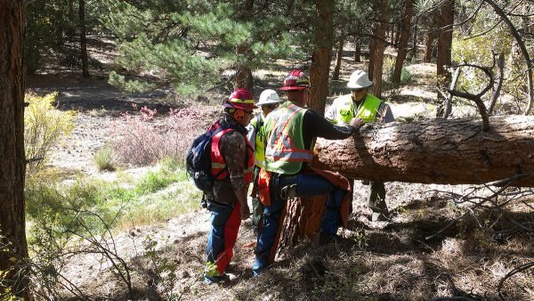 Southern Ute Forestry Department