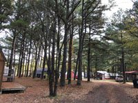 Talking Trees Campground