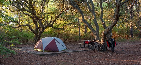 Barbour Hill Ocean Campground