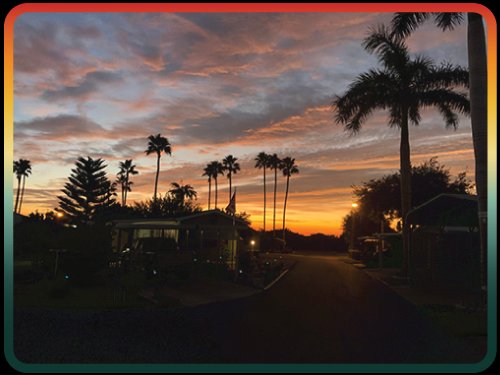 Bentsen Palm RV Park (Mission, Texas) photo