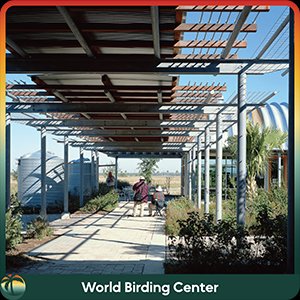 Bentsen Palm RV Park (Mission, Texas) photo