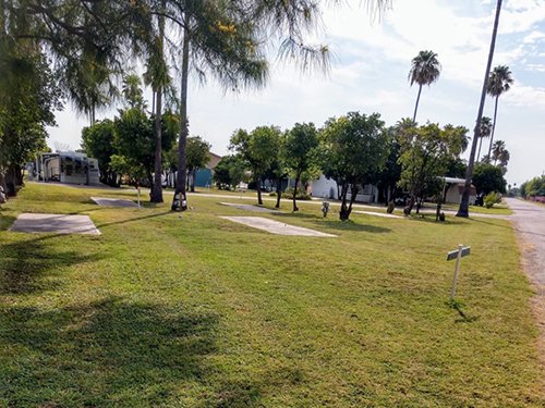Bentsen Palm RV Park (Mission, Texas) photo