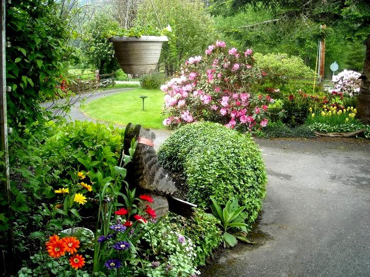 Lewis County Campgrounds