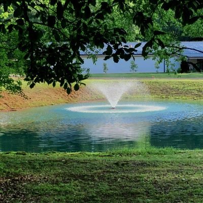 Mountain Grove Cottages