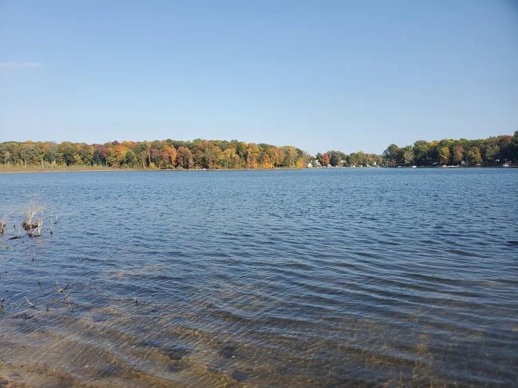 The Shores at Selkirk Lake (Shelbyville, Michigan) photo