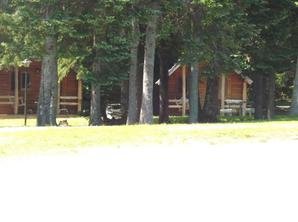 Michigamme Shores Campground