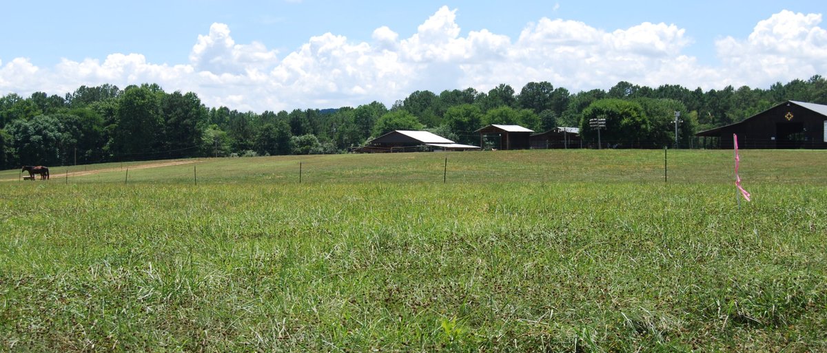 4B Farm & Campground