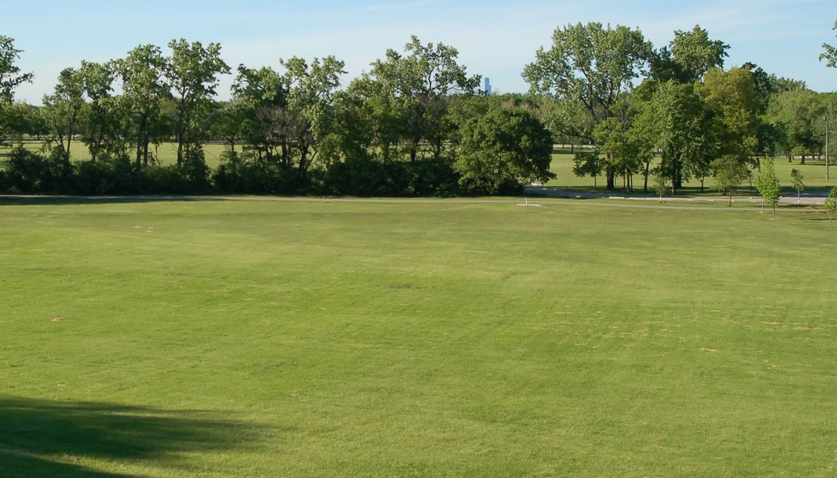 Camp Ground Road Woods