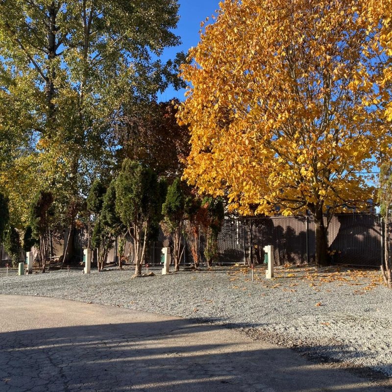 Liberty Lane RV Park