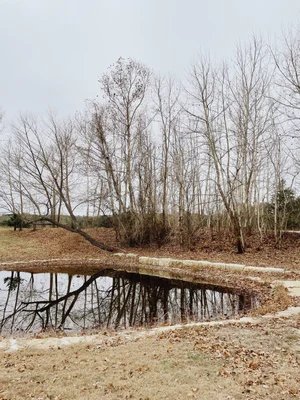 Yeager Creek RV Park