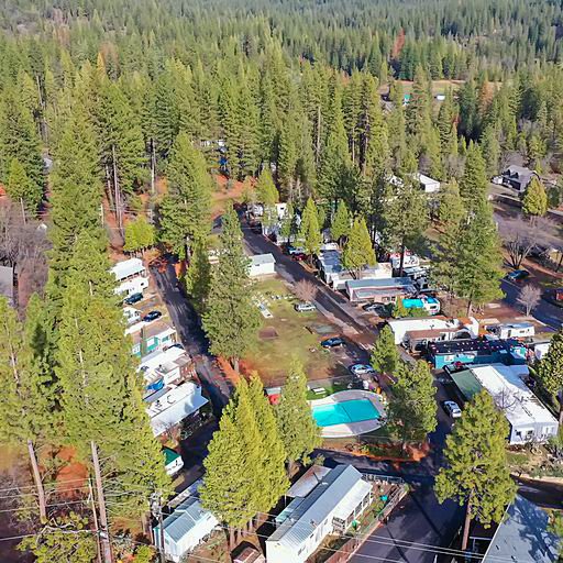 Safari Manufactured Housing Community (Avery, California) photo