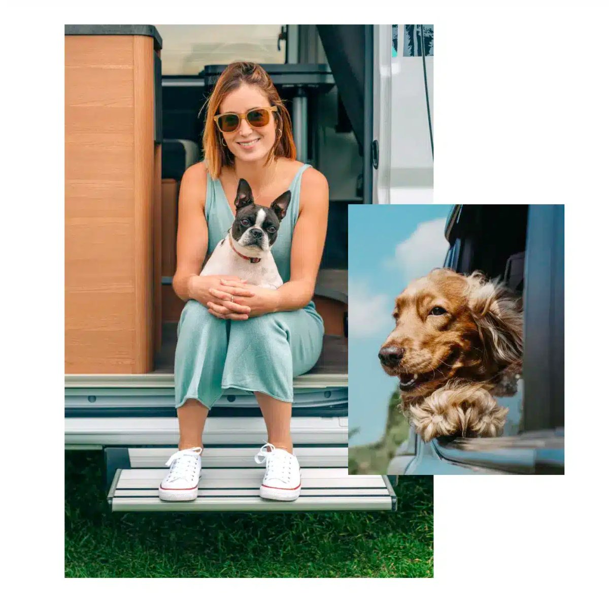 Itasca Creek RV Park (Itasca, Texas) photo