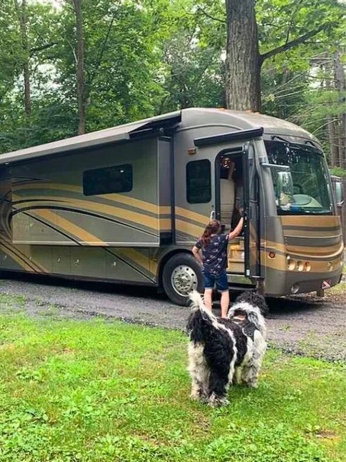 Neversink River Resort