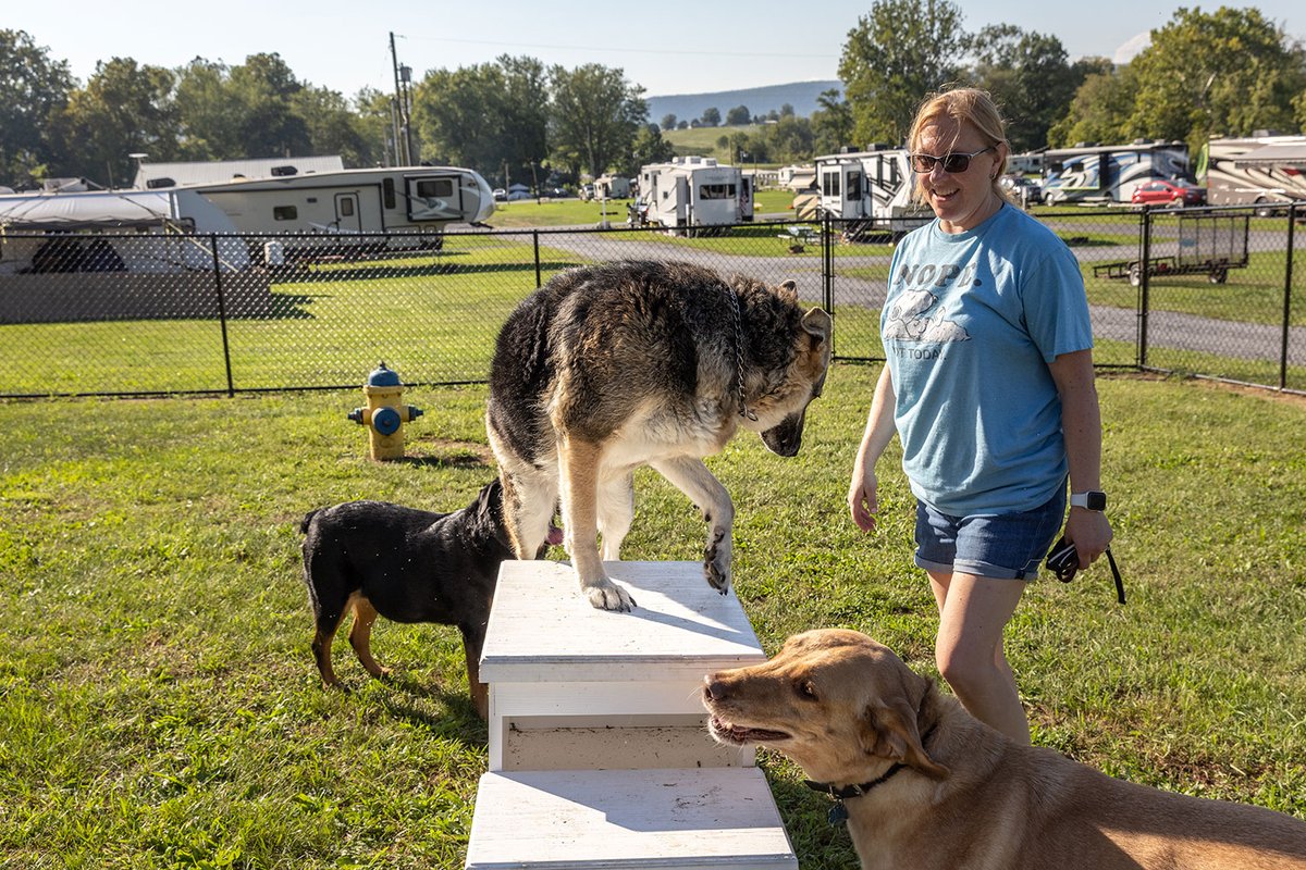 Twin Bridge Campground