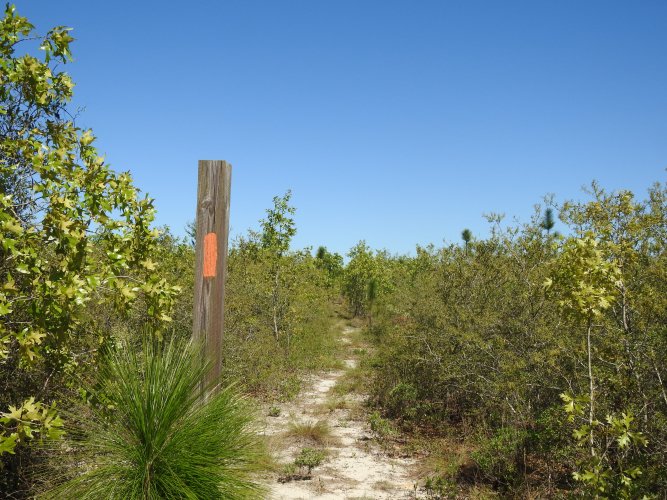 Lafayette Hike In Campsite East