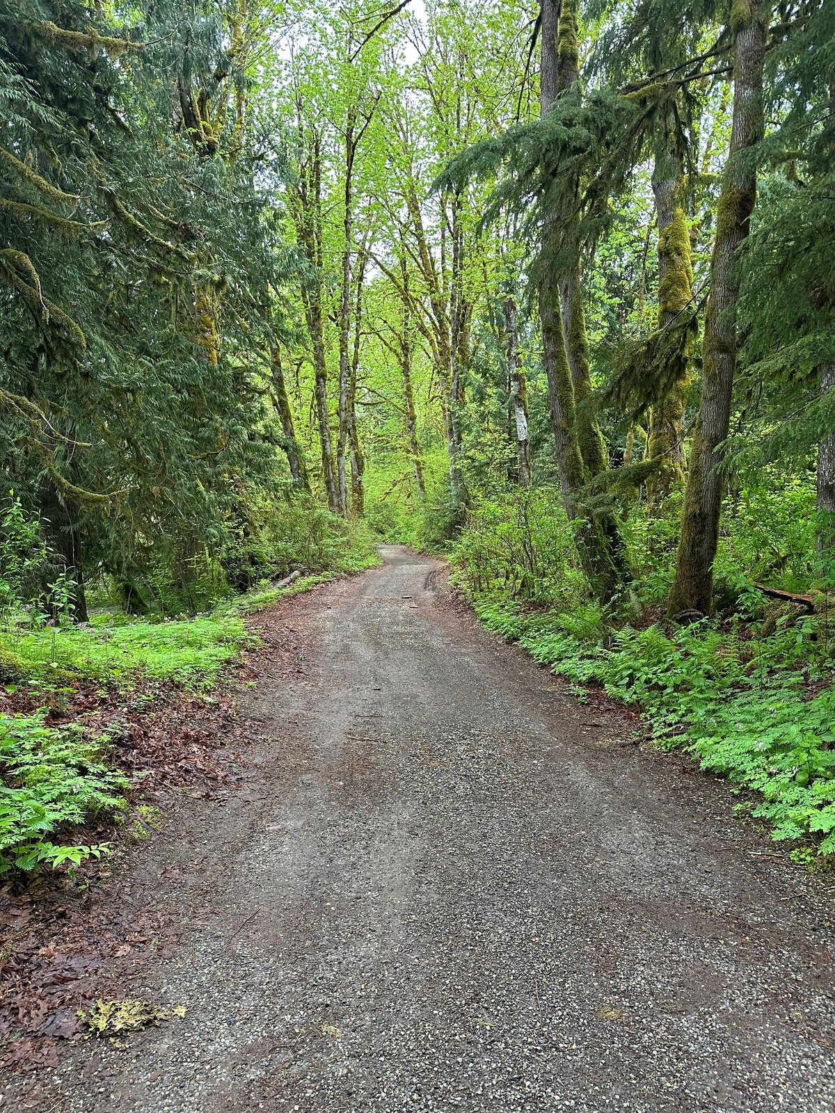 Glacier Peak Resort, RV Park & Winery