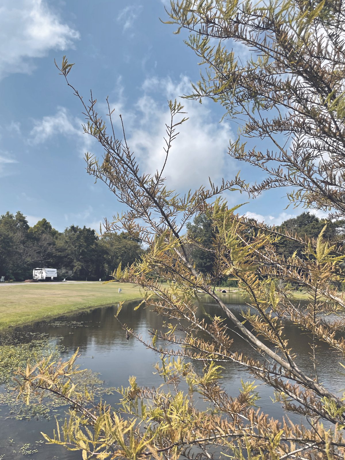 Turkey Creek Country Resort (Ben Wheeler, Texas) photo