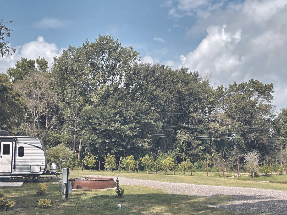 Turkey Creek Country Resort (Ben Wheeler, Texas) photo