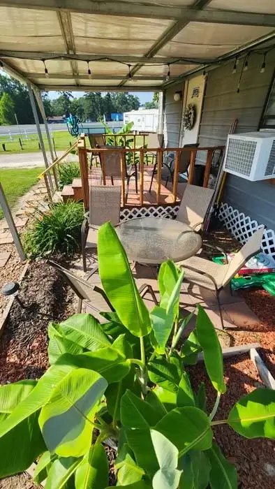 The Good Life RV Park (Burke, Texas) photo