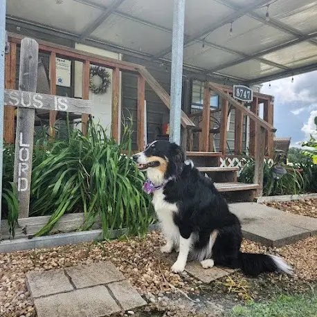 The Good Life RV Park (Burke, Texas) photo