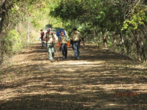 Tom Ellis White Campground (Wolfe City, Texas) photo