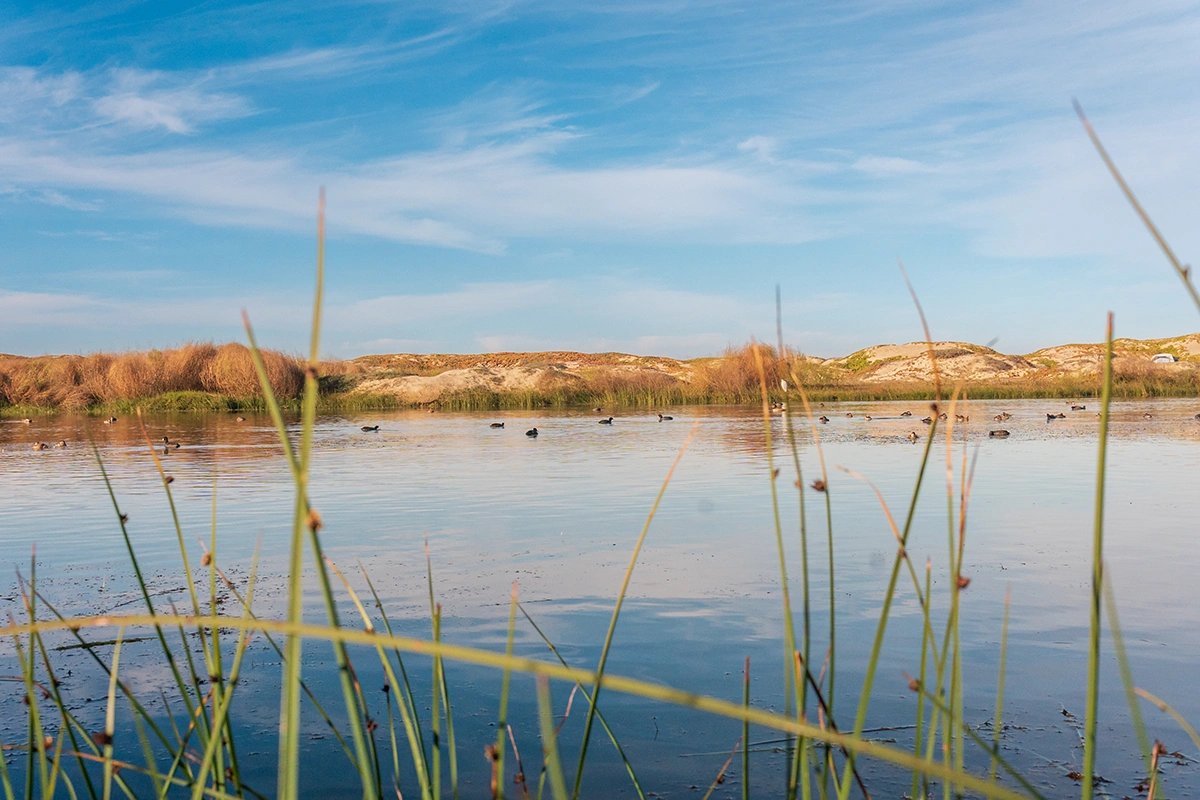 Pismo Coast Village RV Resort