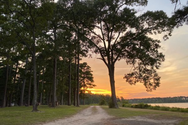 Powell Park Resort & Marina