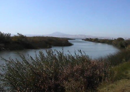 Eddo's Harbor & RV Park (Rio Vista, California) photo
