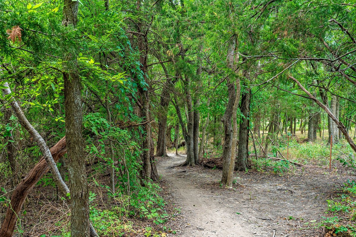 Erwin Park Campsite #7