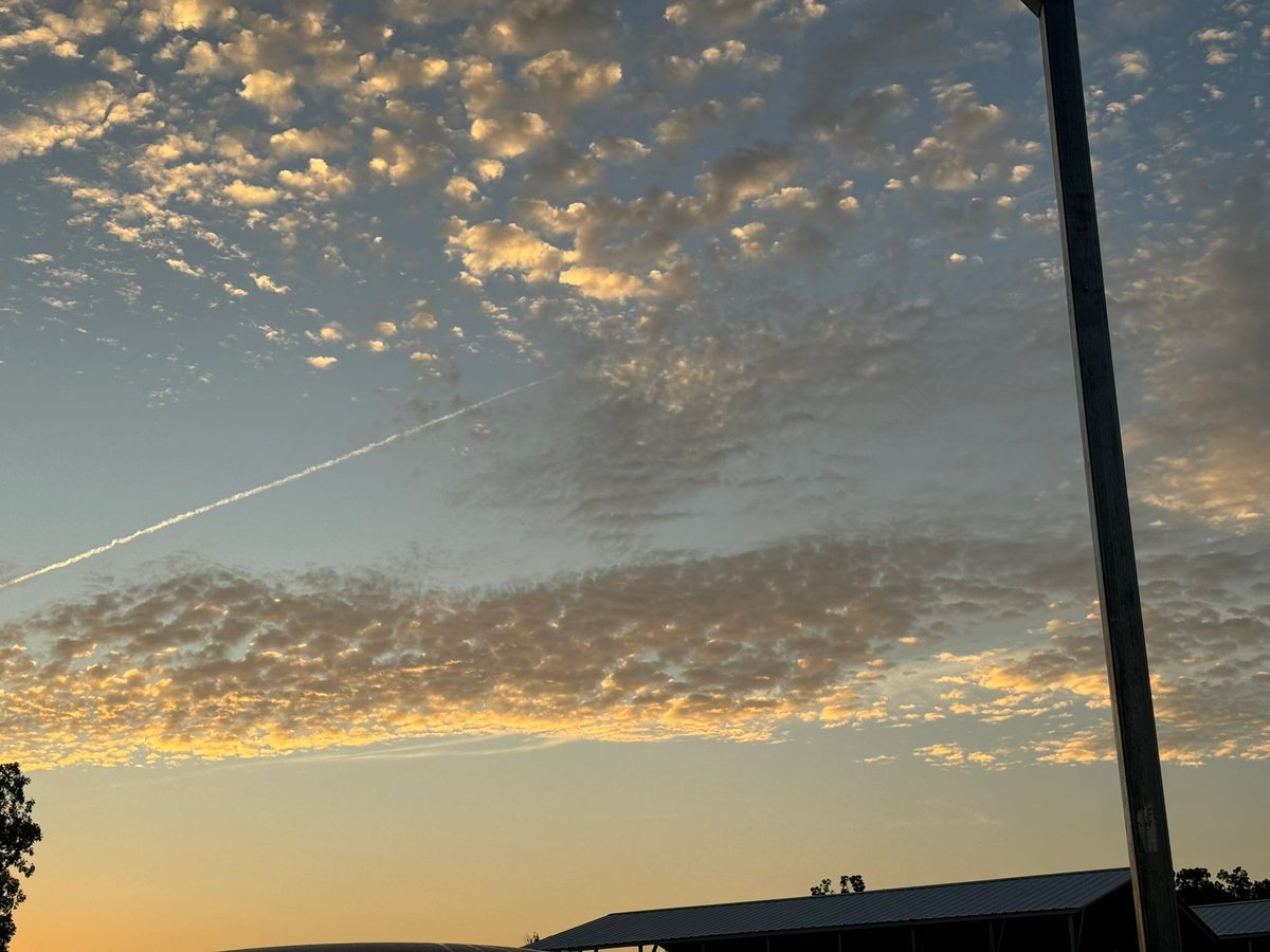 Toledo Bend RV Resort and Cabins