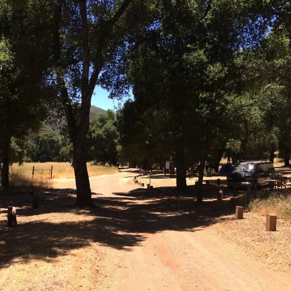 Davy Brown Campground